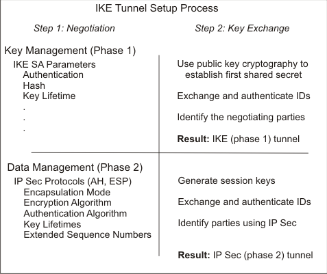 IKE Tunnel Setup Process (参考)
